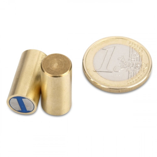 NdFeB Deep pot magnet Ø 10 x 20 mm, brass, tolerance h6 - 4.6 kg