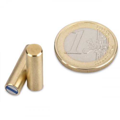 NdFeB Deep pot magnet Ø 6 x 20 mm, brass, tolerance h6 - 1 kg