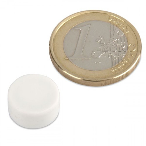 Neodymium magnet Ø 12.7 x 6.3 mm with plastic coating - white - 2 kg