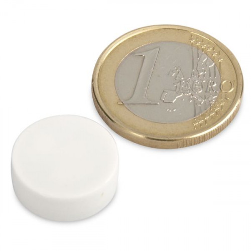 Neodymium magnet Ø 16.0 x 6.0 mm with plastic coating - white - 2.6 kg